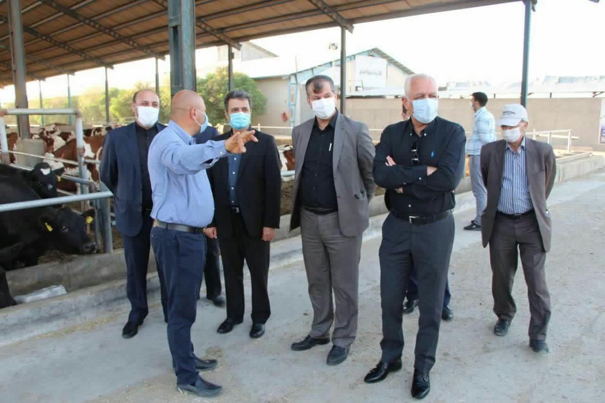 خبرنگاران صنایع تبدیلی حلقه مفقوده کشاورزی پیشوا است خبرنگاران صنایع تبدیلی حلقه مفقوده کشاورزی پیشوا است