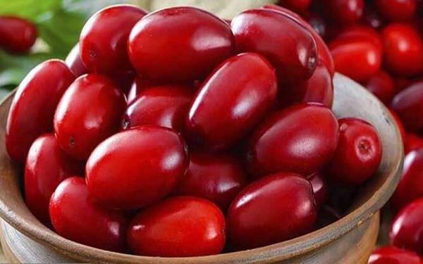 دانستنی های جالب درباره خواص ذغال اخته دانستنی های جالب درباره خواص ذغال اخته