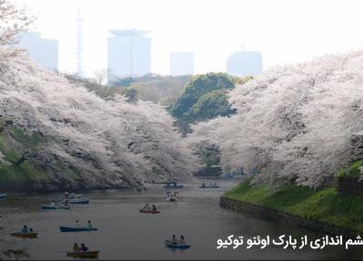 پارک اوئنو ؛بزرگترین و زیباترین پارک توکیو