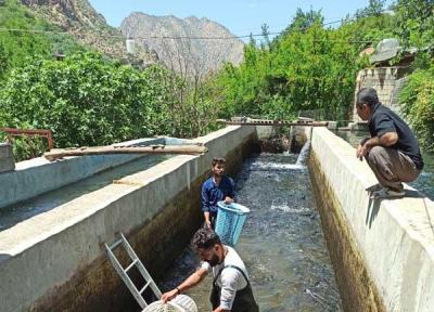 روستای ماه و ماهی