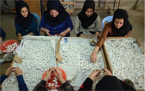 شغل های پردرآمد که تحصیلات عالیه نمی خواهد شغل های پردرآمد که تحصیلات عالیه نمی خواهد
