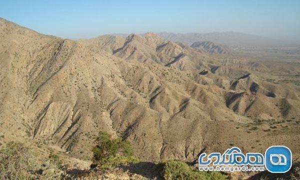 پناهگاه حیات وحش زریاب یکی از دیدنی های استان کرمان به شمار می رود