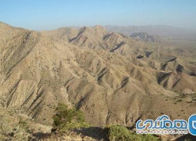 پناهگاه حیات وحش زریاب یکی از دیدنی های استان کرمان به شمار می رود