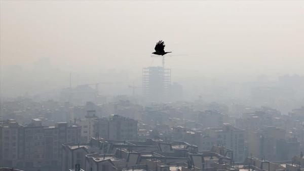 تصمیمات بی اثر برای آلودگی هوا ما را خفه خواهد نمود؟